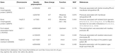 Exploring the Association Between Genetic Polymorphisms in Genes Involved in Craniofacial Development and Isolated Tooth Agenesis